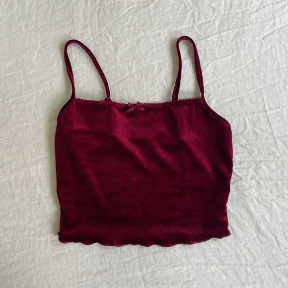 Burgundy Velvet Crop Tank - Picture 1 of 2